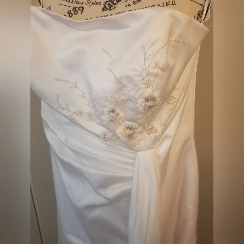 David's Bridal wedding dress - Picture 2 of 4